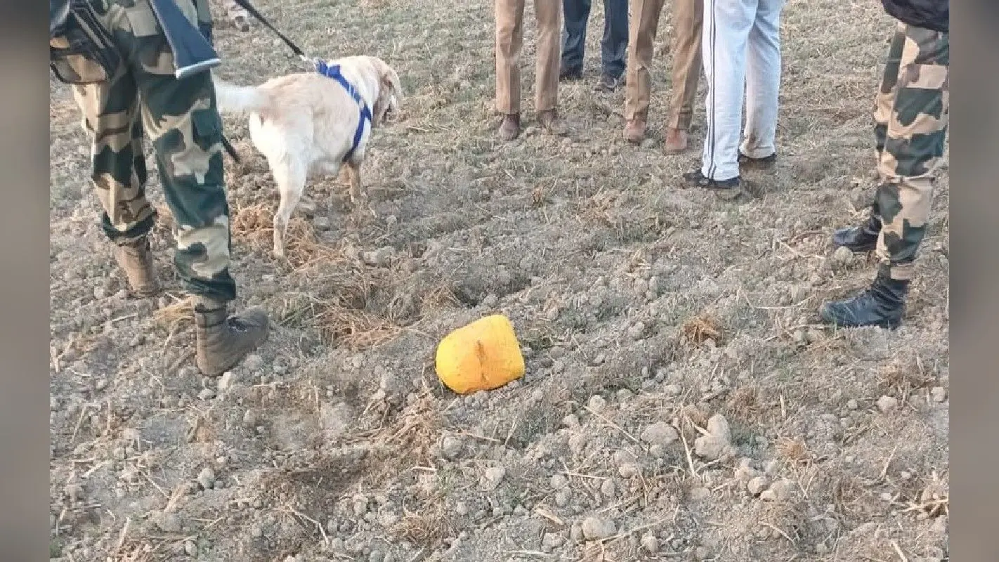 पंजाब के फाजिल्का में फिर आया पाकिस्तानी ड्रोन, हेरोइन की खेप बरामद, एक शख्स गिरफ्तार