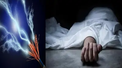 शेखपुरा : खेत में गिरे 440 वोल्ट तार से युवक की मौत, परिजनों ने बिजली विभाग पर लगाया लापरवाही का आरोप