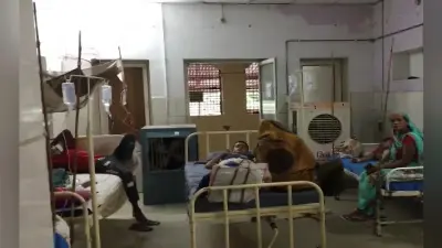 मध्य प्रदेश: ग्वालियर में खतरनाक हुआ डेंगू का आतंक, अस्पतालों में बेड की कमी, अब तक सामने आए 1165 मामले