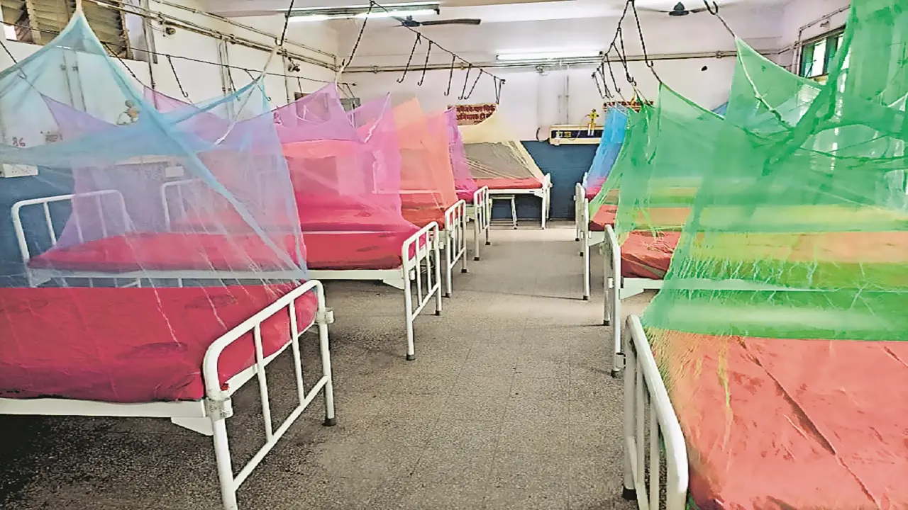 नोएडा में डेंगू का कहर, मरीजों का आंकड़ा 300 के पार, प्रशासन अलर्ट