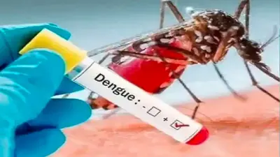 Bihar में अब कोरोना की तरह ट्रेंड बदल डरा रहा डेंगू, निगेटिव रिपोर्ट पर भी तेजी से कम हो रहा प्लेटलेट्स