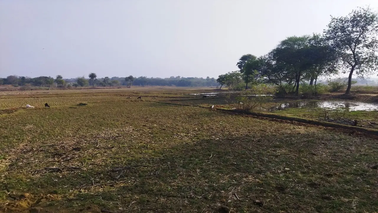 झारखंड का एक गांव, जहां 199 एकड़ में नहीं जलता चिराग, ढूंढे नहीं मिलेगा एक मकान, वजह जान चौंक जायेंगे आप