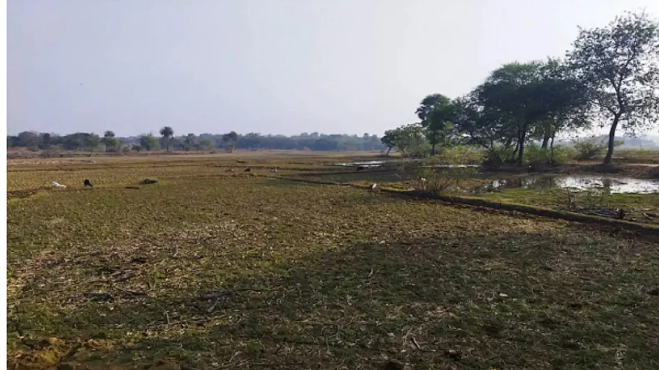 झारखंड के गांवों की कहानियां : एक ऐसा गांव है मठेया, जहां 199 एकड़ जमीन पर मकान तो छोड़िए झोपड़ी तक नहीं