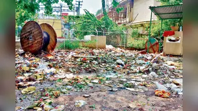 देवघर को नंबर-1 बनाने के लिए नगर निगम मांग रहा स्वच्छता का फीडबैक, इधर दो महीने से पसरी है गंदगी