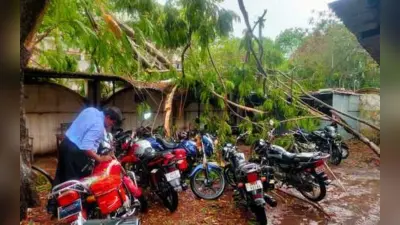 मधुपुर में आंधी-पानी से गिरे दर्जनों बिजली के खंभे और पेड़, कई इलाके में बिजली आपूर्ति ठप