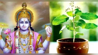 Dev Uthani Ekadashi and Tulsi Vivah 2020 : आज शाम को शालीग्राम के साथ तुलसी जी लेंगी सात फेरे, जानिए तुलसी विवाह का शुभ मुहूर्त और पूजा विधि…