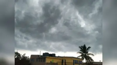Weather Forecast Update : पहाड़ी राज्यों बारिश-बर्फबारी का अलर्ट, दिल्ली में गर्मी की दस्तक, जानें देश के अन्य राज्यों के मौसम का हाल