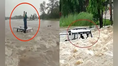 Bihar Flood News: ड्राइवर की लापरवाही पड़ी भारी, उफनायी नदी के तेज धार में बहा बोलेरो, गाड़ी से कूदा चालक