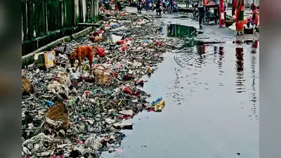 धनबाद के पुराना बाजार की सड़क पर अतिक्रमण और टोटो चालकों के आतंक से लोग परेशान, पैदल चलना भी हुआ दुश्वार