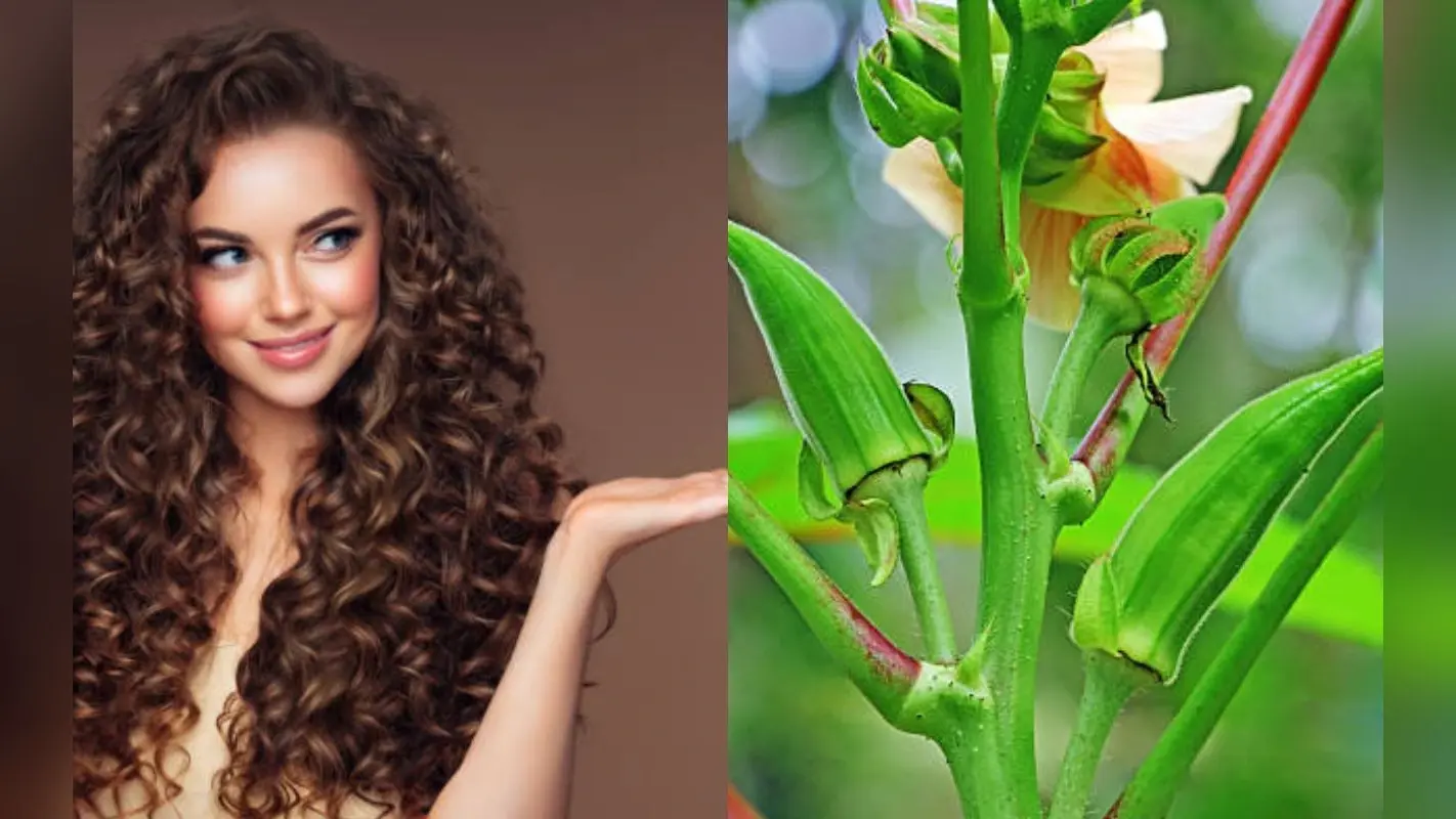 Beauty Tips : बालों को रेशमी और लंबा बनाती है भिंडी, जानिए इसके चौंकाने वाले फायदे