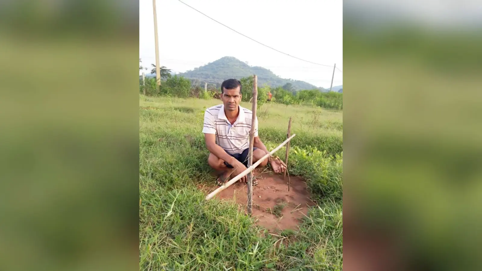 बिरसा हरित ग्राम योजना : कोरोना काल में रोजगार देने की थी योजना, लगने के पहले ही उजड़ गया आम बागान, किसान निराश
