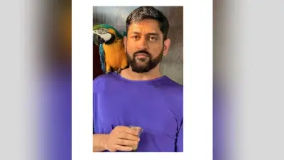 टीम इंडिया के ब्लू जर्सी में फिर दिखे Dhoni, सोशल मीडिया पर एक आया भूचाल, रणवीर सिंह भी हुए माही के दिवाने