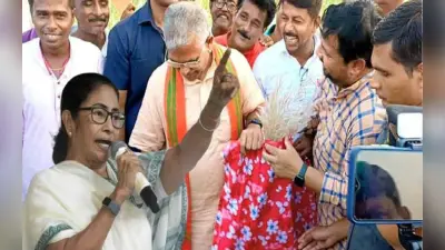दिलीप घोष का ममता बनर्जी पर तंज- जहां बनना चाहिए था टाटा का कारखाना, वहां खिले काश के फूल