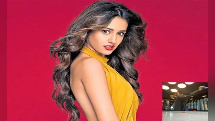 दिशा पाटनी ने शेयर की अपनी किक एण्ड स्पिन वीडियो, ब्वॉयफ्रेंड टाइगर की मां ने दिया कुछ ऐसा रिएक्शन, कहा सुपररर . . .