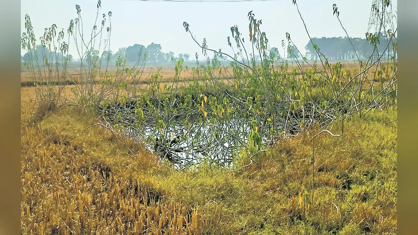 Dobha Scheme: झारखंड में करोड़ों रुपये खर्च कर बने डोभा गायब, कई जिलों का है यही हाल, पढ़े पूरी रिपोर्ट
