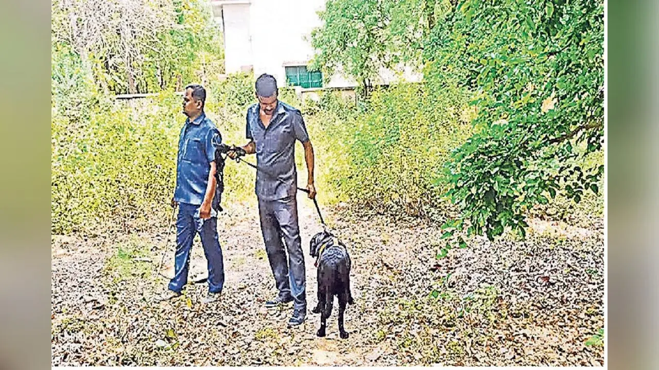 भागलपुर में पुरे दिन बम की दहशत में रहे लोग, बुलाया गया बम निरोधक दस्ता, जांच में निकली गिट्टी