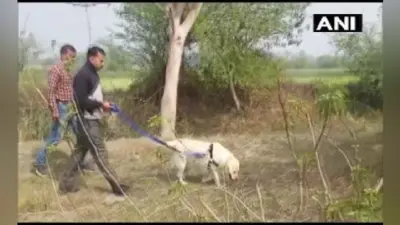 उन्नाव केस में स्निफर डॉग की मदद से मिला अहम सुराग, आखिरकार घटना के दिन के क्या हुआ था, पुलिस के लिए बड़ा सवाल