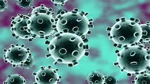 Coronavirus In Bihar: जेएलएनएमसीएच अस्पताल में कोरोना मरीज आम लोगों के साथ बैठ करते हैं गप, देते हैं यह दलील…