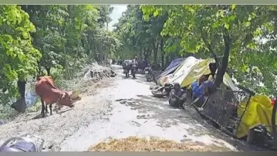 आसान हुआ एन 95 मास्क और चिकित्सा किट का निर्यात, सरकार ने निर्यात की शर्तों में दी ढील