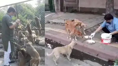 स्ट्रीट एनिमल्स और बर्ड्स लवर हैं डॉ वीपी सिंह, डॉग्स और बंदरों में ऐसे कराते हैं पक्की दोस्ती