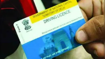 Driving Licence Latest Updates : घर बैठे ऐसे बनवाएं अपना डीएल! एक्सपायर हो गया ड्राइविंग लाइसेंस और आरसी , तो टेंशन नहीं लें, जानें ये खबर