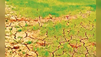 बिहार में बढ़ती गर्मी के कारण महामारी समिति हुई सक्रिय, सभी जिलों में सुखाड़ क्षेत्र चिह्नित करने के निर्देश