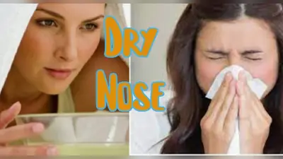 Dry Nose: गर्मियों में सूखी नाक की समस्या से परेशान हैं? इन घरेलू नुस्खों से पाएं छुटकारा