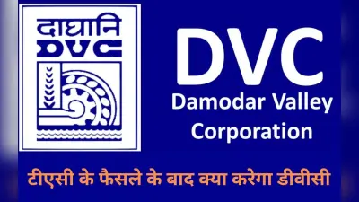 झारखंड के लुगु बुरु में डीवीसी के 10 हजार करोड़ के हाइडल पावर प्लांट पर ग्रहण, केंद्र को लिखी चिट्ठी