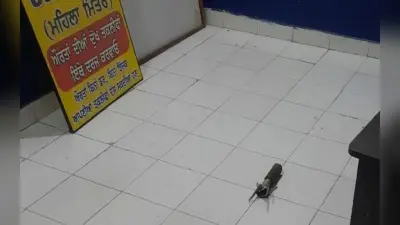 पंजाब के पुलिस स्टेशन पर रॉकेट लॉन्चर से हमला, मचा हड़कंप, पाकिस्तान कनेक्शन की जांच में जुटी पुलिस