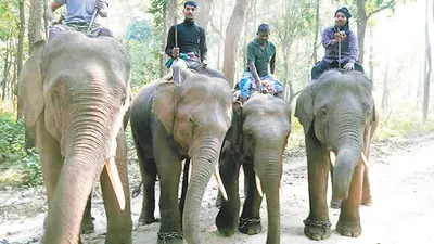 एशियन गेम में गोल्ड लेनेवाले बक्सर के शिवनाथ को नहीं मिली पहचान, जापान से मिला था नागरिकता का प्रस्ताव