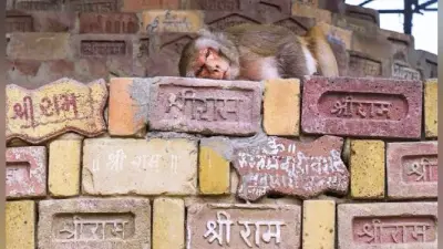 भारत-चीन सीमा विवाद को लेकर अयोध्या में राम मंदिर निर्माण कार्य स्थगित, न्यास ने दी शहीदों को श्रद्धांजलि, कहा- देश की सुरक्षा महत्वपूर्ण