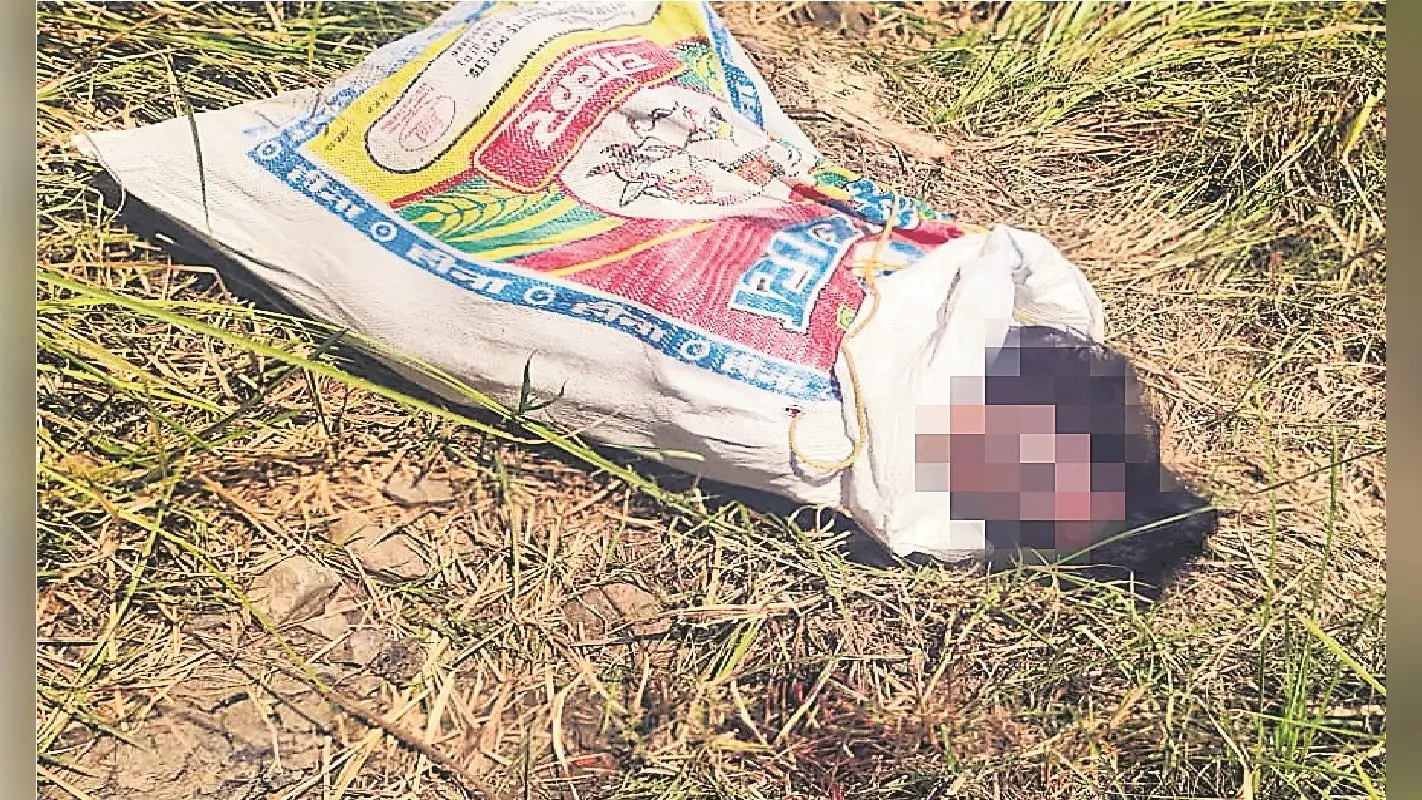 Bihar Crime: अलग-अलग बंद बोरे में मिले युवक-युवती के शव, ऑनर किलिंग की आशंका