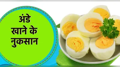 Egg Disadvantages: अंडे खाने के हैं शौकीन तो हो जाएं सावधना, जाड़े के मौसम में इसके सेवन से होते हैं ये नुकसान