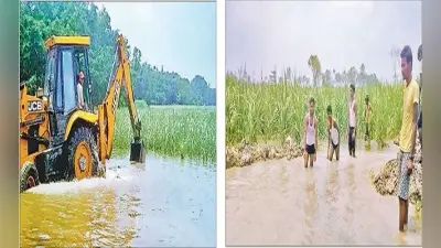 सरकारी तंत्र हुए फेल तो किसानों ने खुद निकाला रास्ता, सैकड़ों एकड़ में लगे गन्ना फसल को बर्बाद होने से बचाया