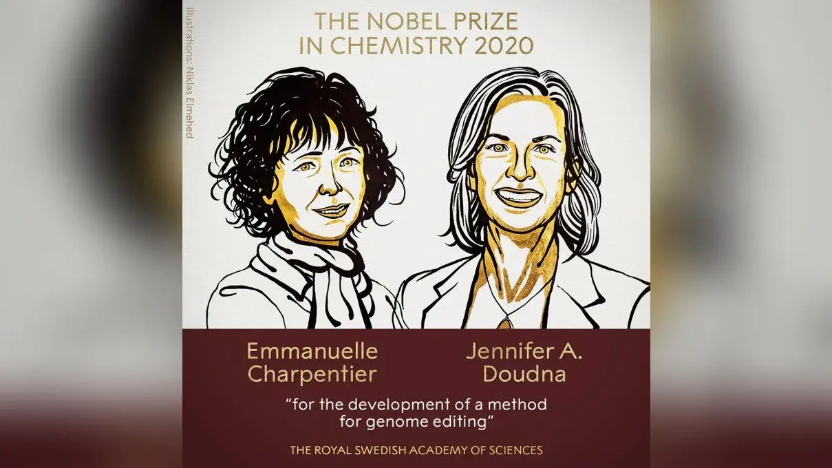 Nobel Prize 2020 : कैंसर के इलाज में कारगर जेनेटिक सीजर की खोज के लिए Emmanuelle Charpentier और Jennifer A Doudna को केमेस्ट्री का नोबेल पुरस्कार