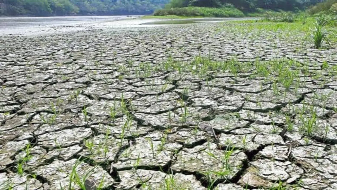 बेगूसराय में सड़कों की धूल दबाने तक बरस कर रह जाता है बादल, सुखाड़ की स्थिति से किसान हो रहे परेशान