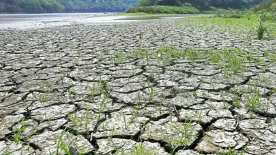 WMO की चेतावनी : भारत समेत दुनिया भर में मंडरा रहा सूखा बढ़ने का खतरा, जुलाई में लौट सकता है अल नीनो