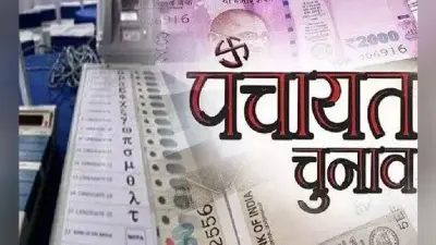 Aligarh Panchayat Election: पंचायत उपचुनाव में जमकर हुआ मतदान, अब हो रहा मतगणना का बेसब्री से इंतजार