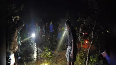 Viral Video: Z+++ Security, हाथियों से बढ़िया सुरक्षा नहीं दे सकता कोई, वायरल वीडियो ने जीता दिल