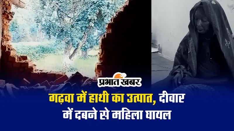 VIDEO: झारखंड के गढ़वा में हाथी का उत्पात, दीवार में दबने से महिला घायल