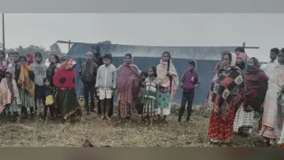 गुमला में हाथियों का आतंक, एक वृद्धा को कुचलकर मार डाला, आदिम जनजाति बहुल गांव पर किया हमला, कई घर ध्वस्त