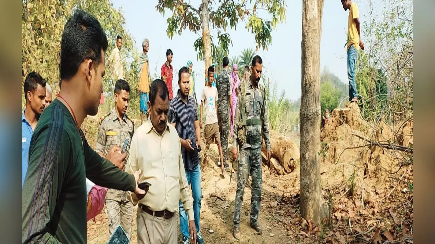 झारखंड: जंगल में महुआ चुनने गयी महिला को हाथी ने कुचलकर मार डाला