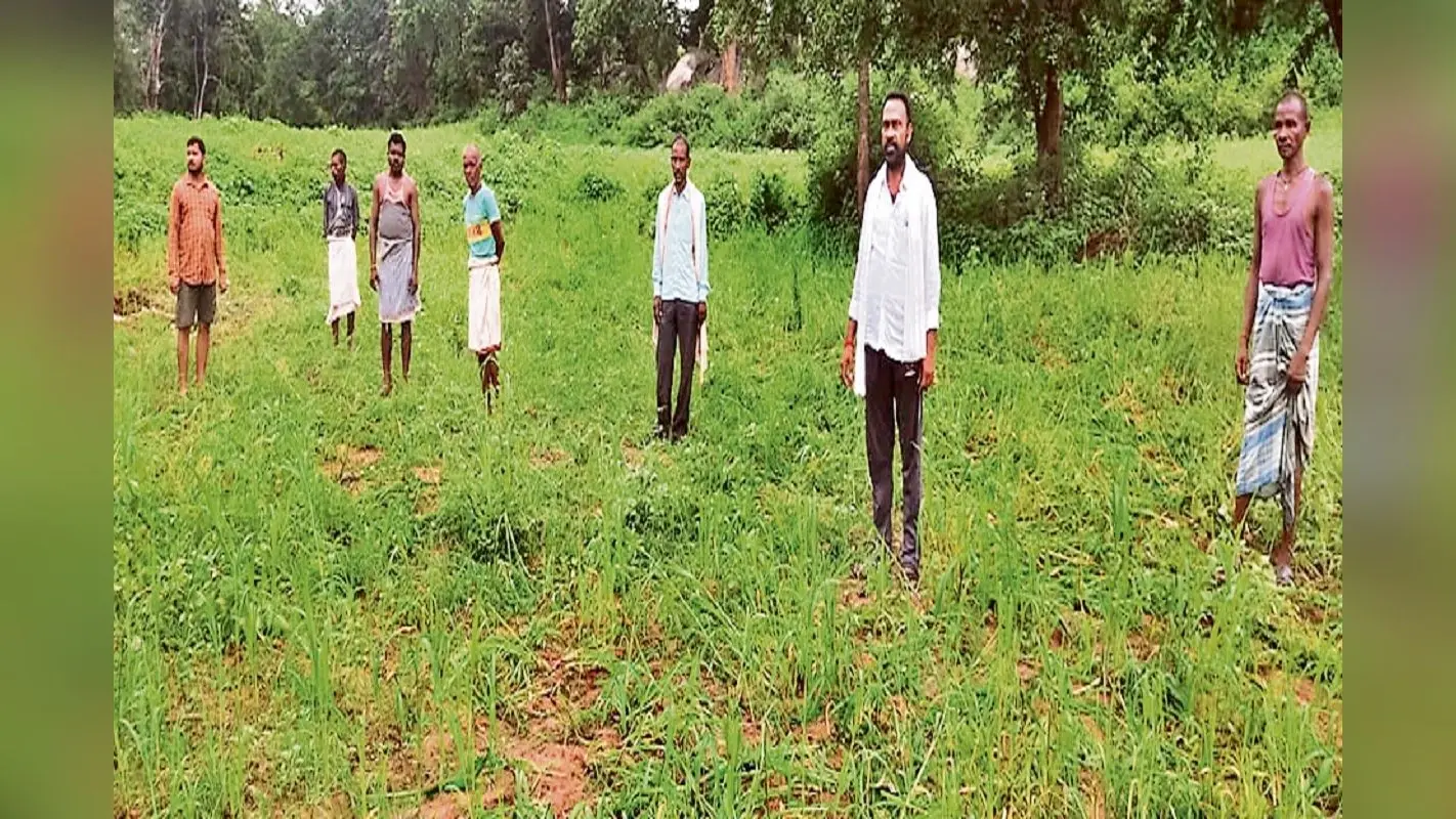 हाथियों के झुंड ने सात एकड़ में लगी फसल को पहुंचाया नुकसान, ग्रामीणों की हुई नींद हराम