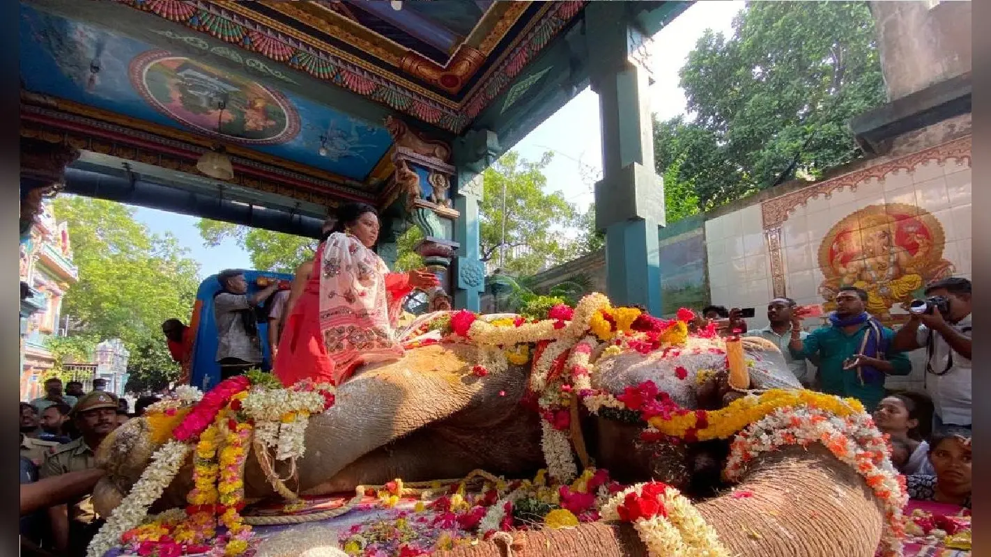 पुडुचेरी के विनयागर मंदिर की दिव्य हाथी लक्ष्मी की मौत, अंतिम संस्कार में शामिल हुए हजारों लोग, VIDEO