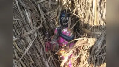 अजब MP में गजब घटना: मुरैना जिले में गाय ने ढूंढी मंदिर से चोरी भगवान कृष्ण की मूर्ति, पढ़िए सारी घटना