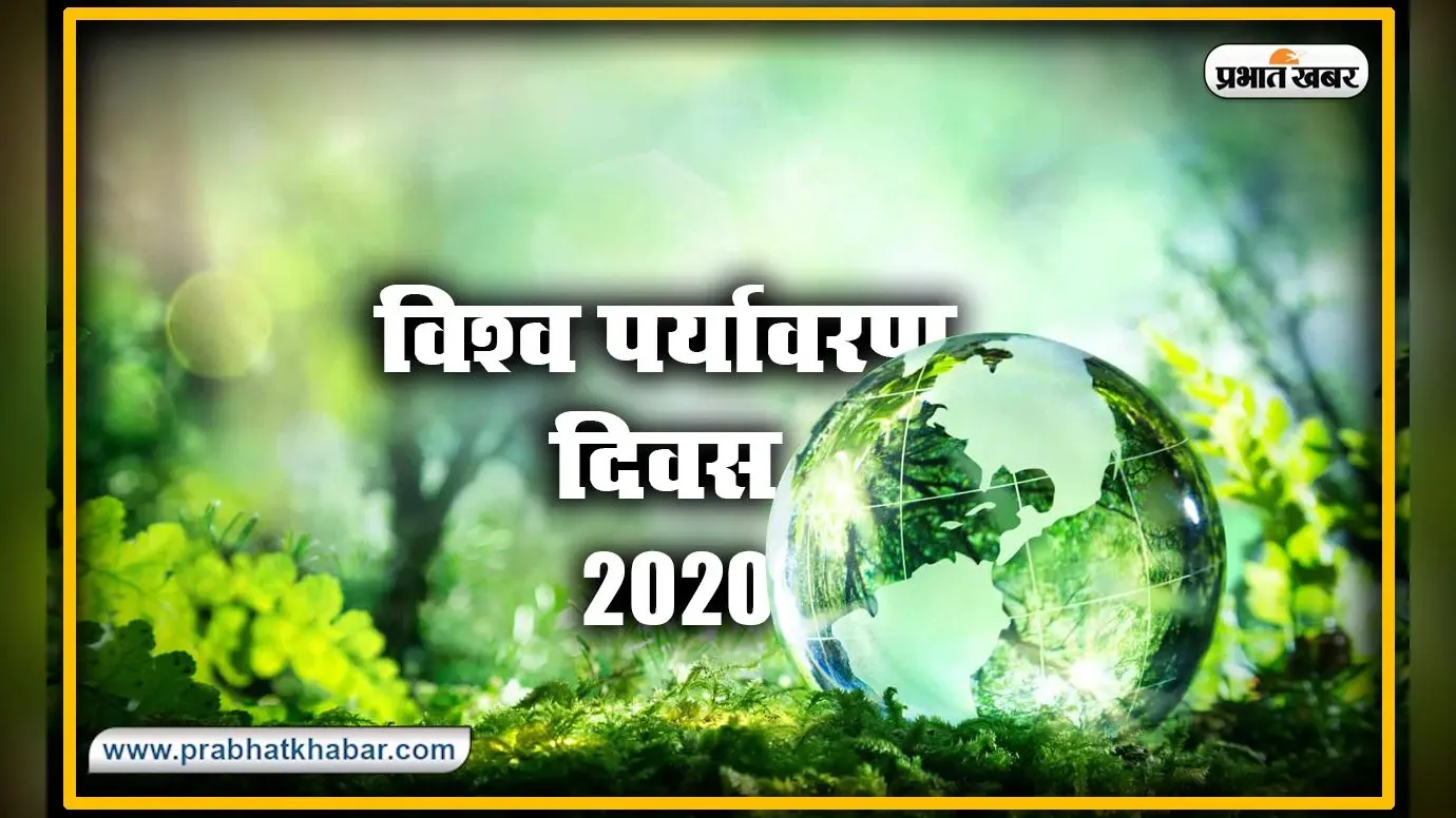 क्या Lockdown के बाद वापस दूषित हो जाएगा वातारण? जानें क्या है World Environment Day 2020 का इतिहास और इस बार का थीम