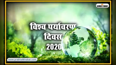 क्या Lockdown के बाद वापस दूषित हो जाएगा वातारण? जानें क्या है World Environment Day 2020 का इतिहास और इस बार का थीम