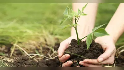 Environment: एक पेड़ मां के नाम अभियान के तहत देश में लगे 80 करोड़ पौधे