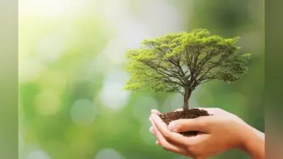 जलवायु संकट में मददगार होगा कार्बन बाजार