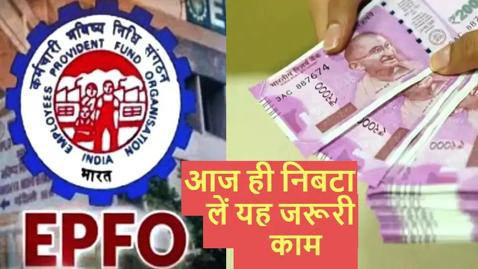 EPFO से जुड़ा यह जरूरी काम अगर नहीं करेंगे आप, तो अटक जाएगा PF का पैसा, जानें अप्लाई करने का आसान तरीका